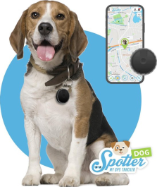 Spotter® Huisdier GPS Tracker Hond - Inclusief Prepaid Simkaart - Activity Tracker - Waterdicht - Zwart - Kleine honden GPS tracker - Nederlands merk